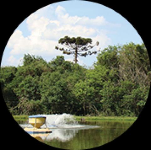 Foto Setor Empresa